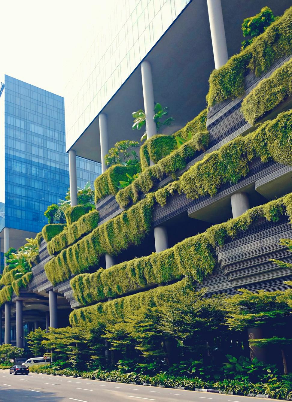 Sustainable Architecture