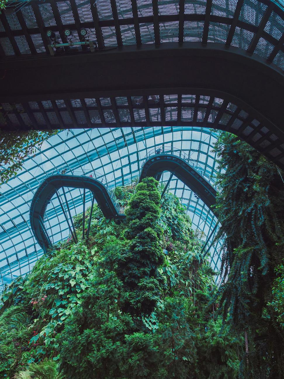 Sustainable green architecture