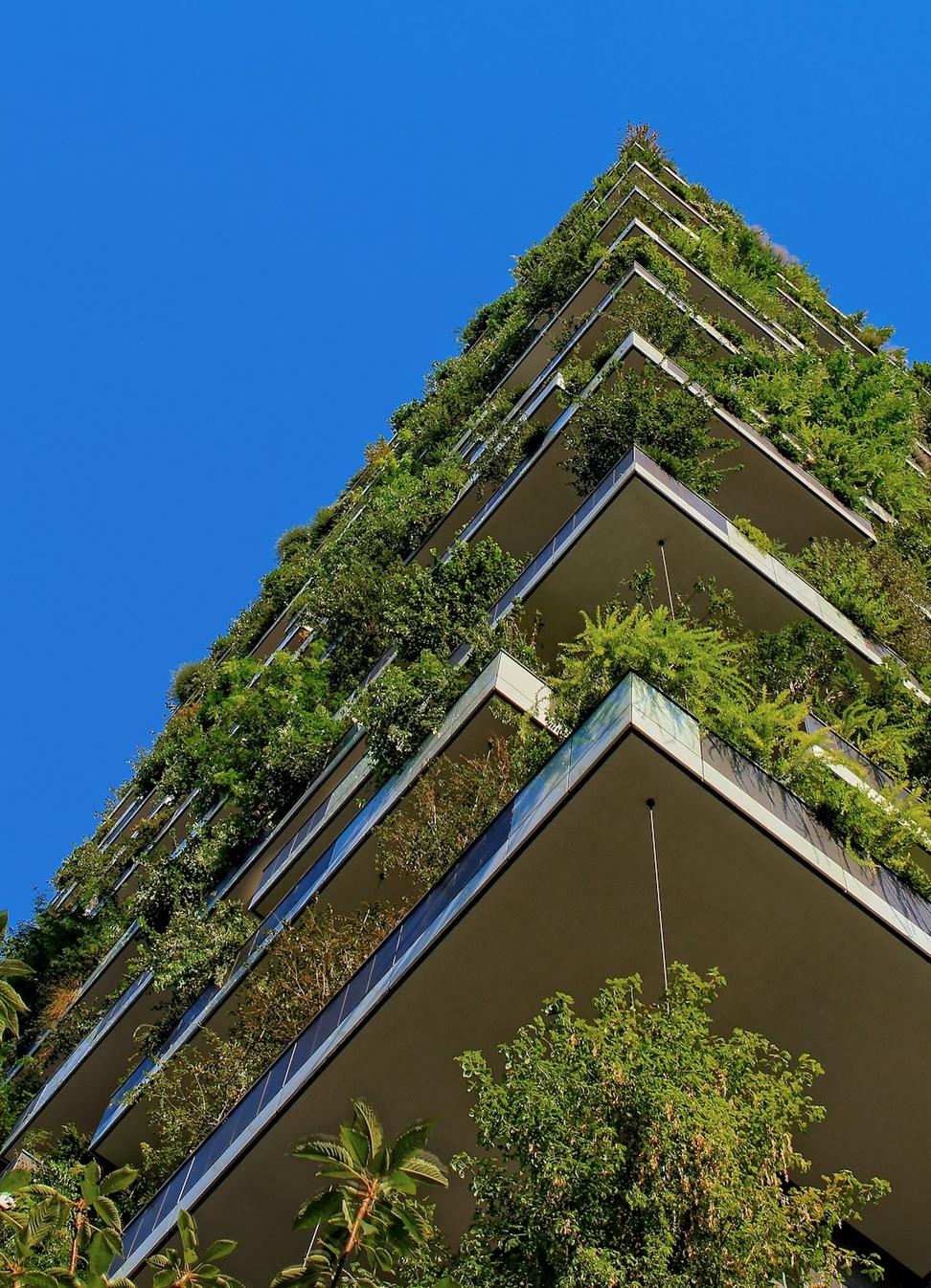 First green building